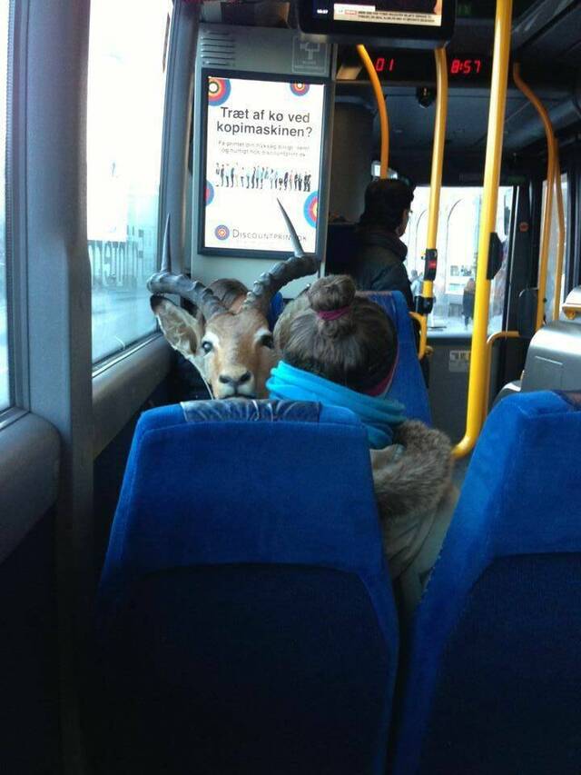 Bildschirmarbeiter - Picdump KW 30/2022