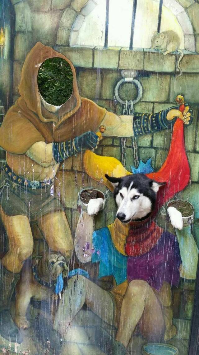 Bildschirmarbeiter - Picdump KW 30/2022