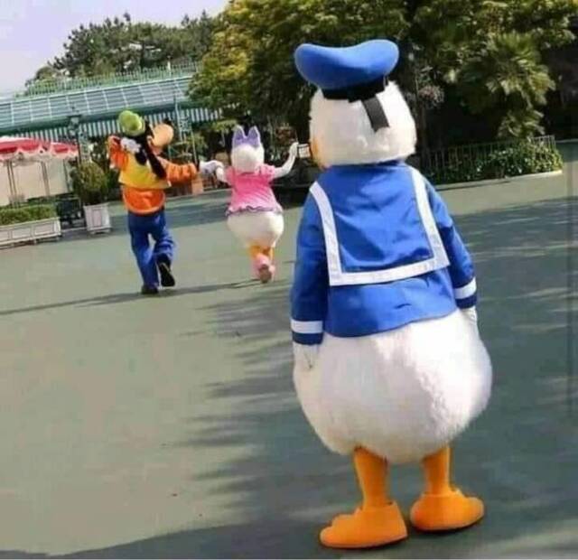 Bildschirmarbeiter - Picdump KW 30/2022