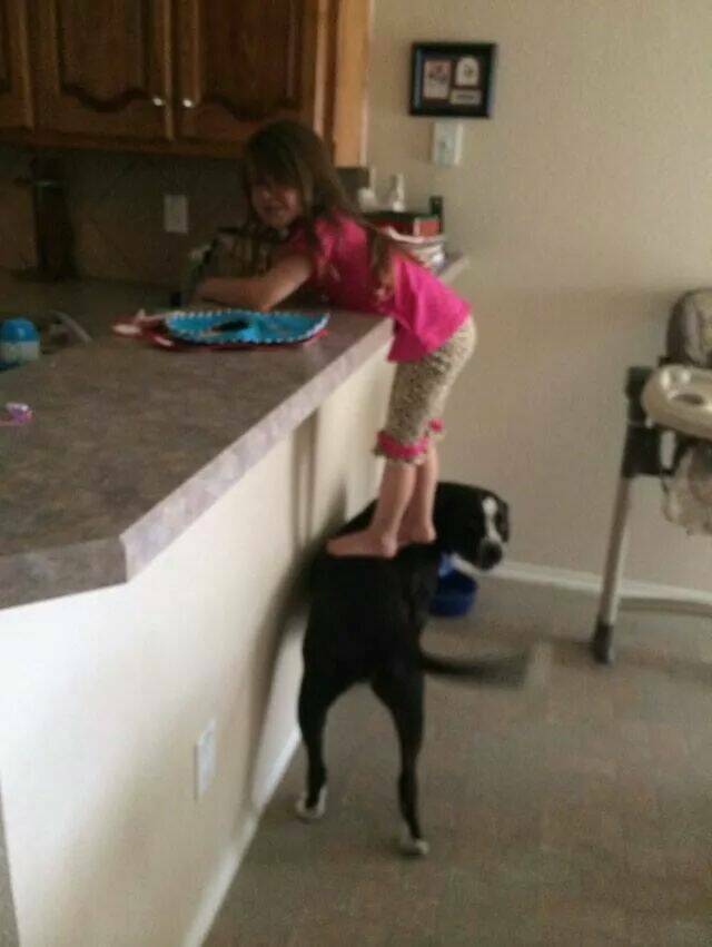 Bildschirmarbeiter - Picdump KW 30/2022