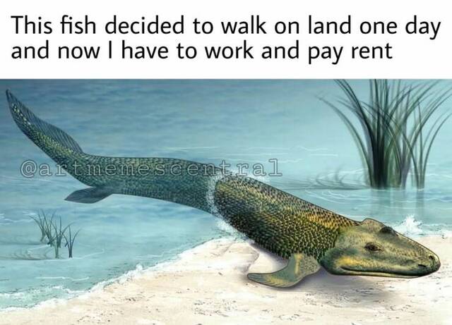 Bildschirmarbeiter - Picdump KW 30/2022