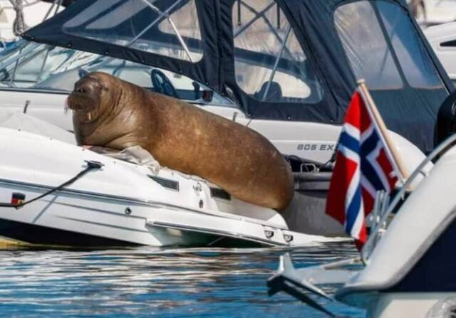 Bildschirmarbeiter - Picdump KW 30/2022