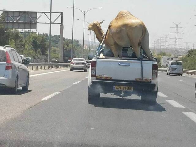 Bildschirmarbeiter - Picdump KW 30/2022