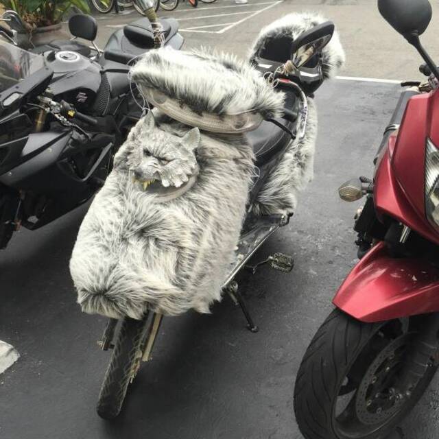 Bildschirmarbeiter - Picdump KW 30/2022