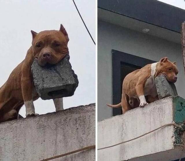 Bildschirmarbeiter - Picdump KW 30/2022