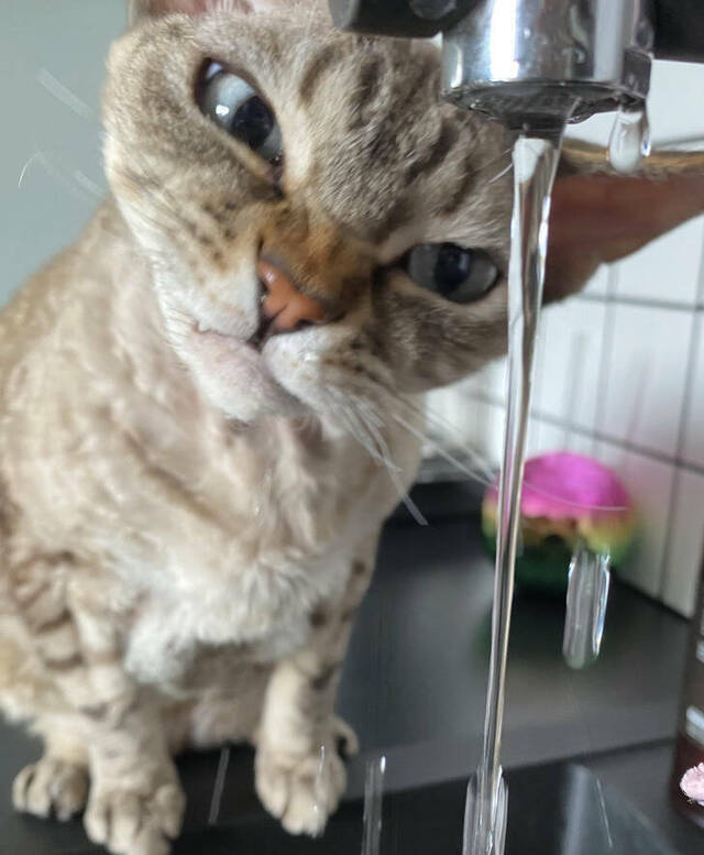 Bildschirmarbeiter - Picdump KW 30/2022