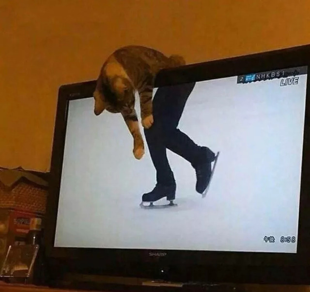 Bildschirmarbeiter - Picdump KW 30/2022