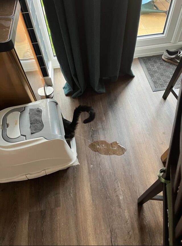 Bildschirmarbeiter - Picdump KW 30/2022