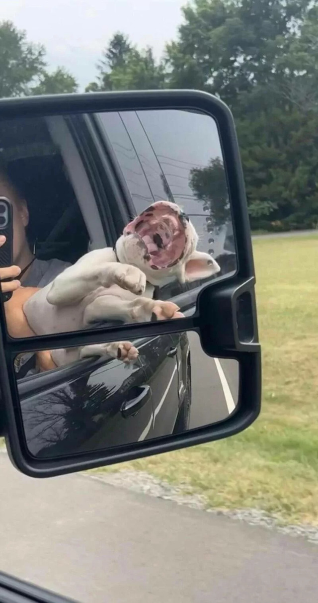 Bildschirmarbeiter - Picdump KW 30/2022