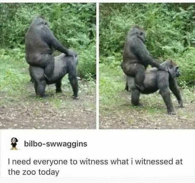 Bildschirmarbeiter - Picdump KW 30/2022