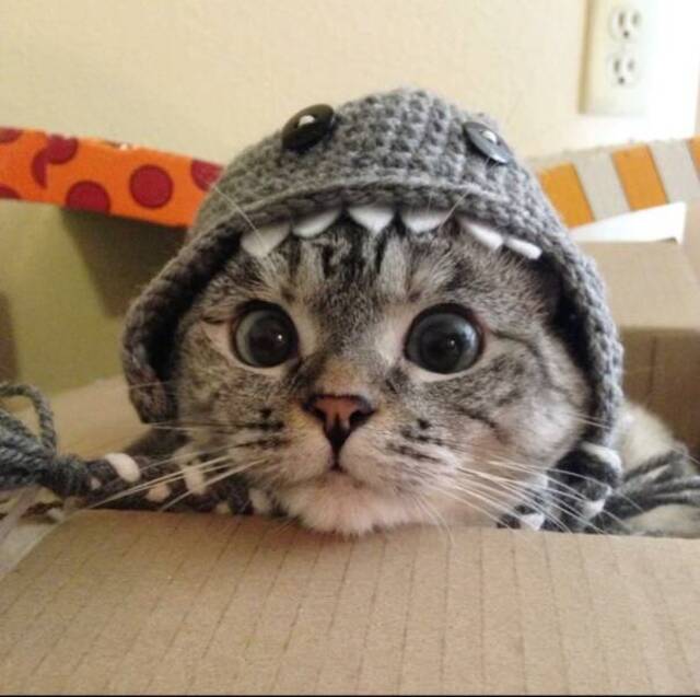 Bildschirmarbeiter - Picdump KW 30/2025