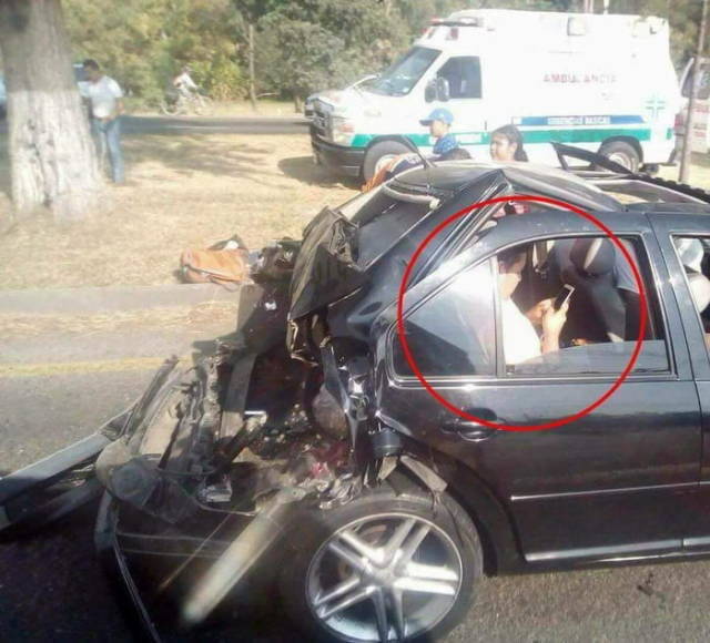 Bildschirmarbeiter - Picdump KW 30/2025