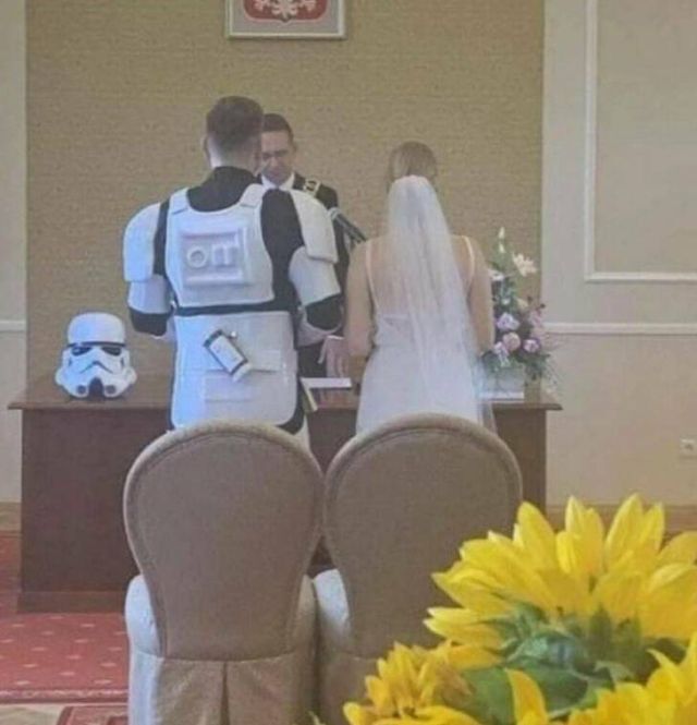 Bildschirmarbeiter - Picdump KW 30/2025