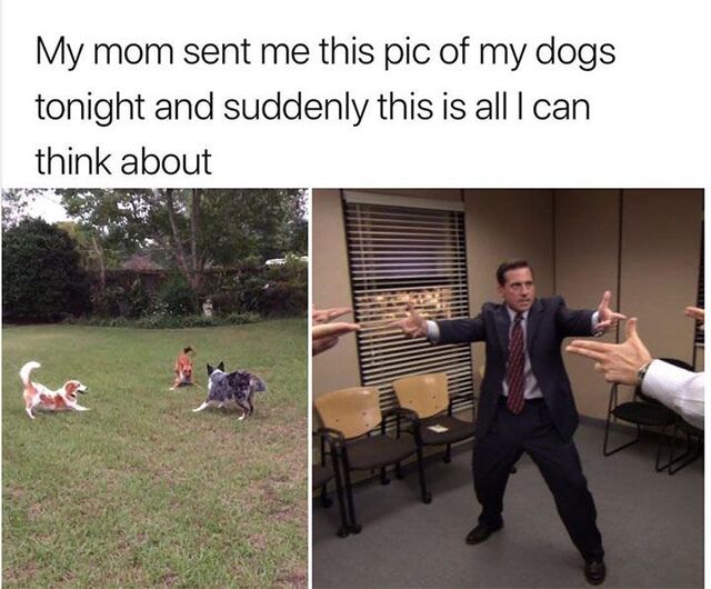 Bildschirmarbeiter - Picdump KW 30/2025