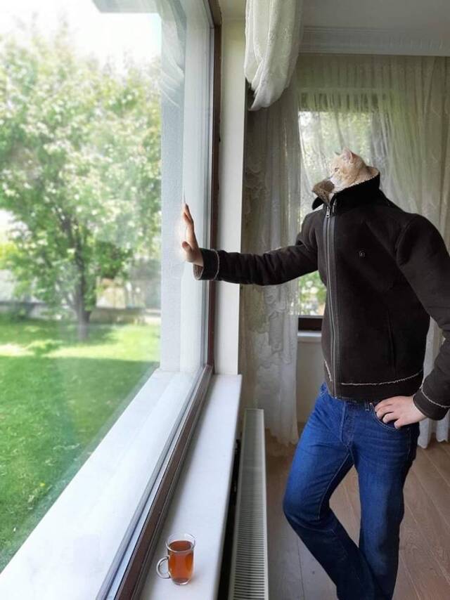 Bildschirmarbeiter - Picdump KW 30/2025