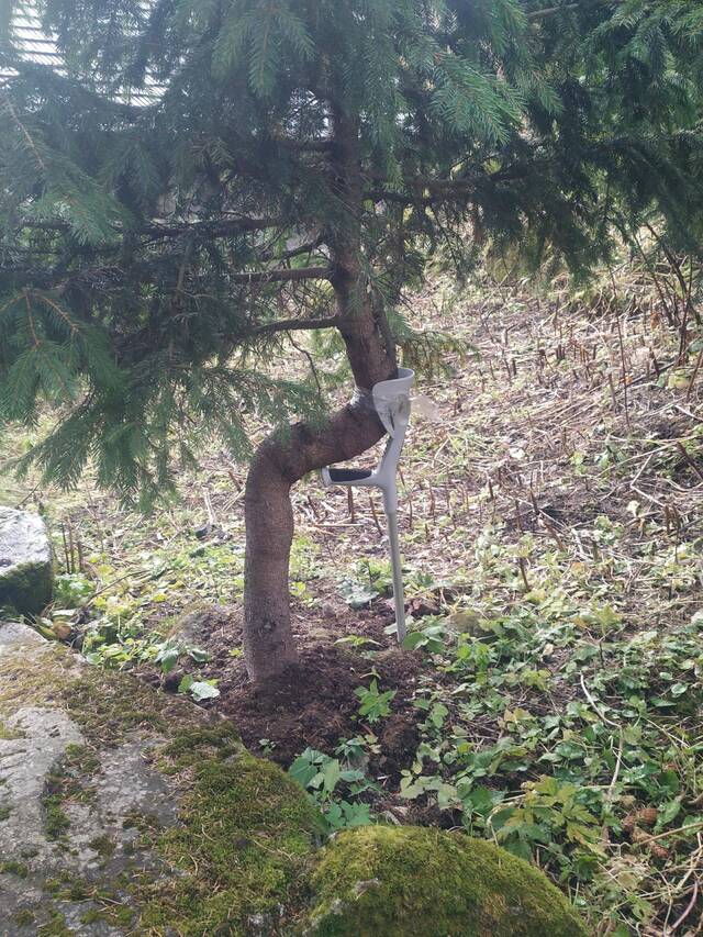 Bildschirmarbeiter - Picdump KW 30/2025