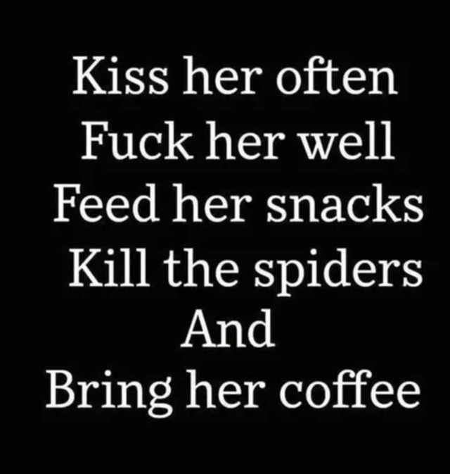 Bildschirmarbeiter - Picdump KW 30/2025