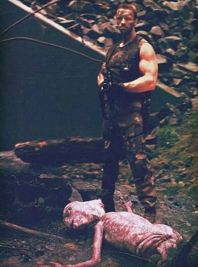 Bildschirmarbeiter - Picdump KW 30/2025