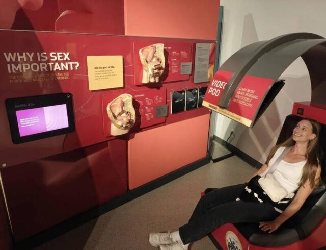 Bildschirmarbeiter - Picdump KW 30/2025