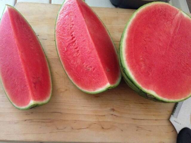 Bildschirmarbeiter - Picdump KW 30/2025