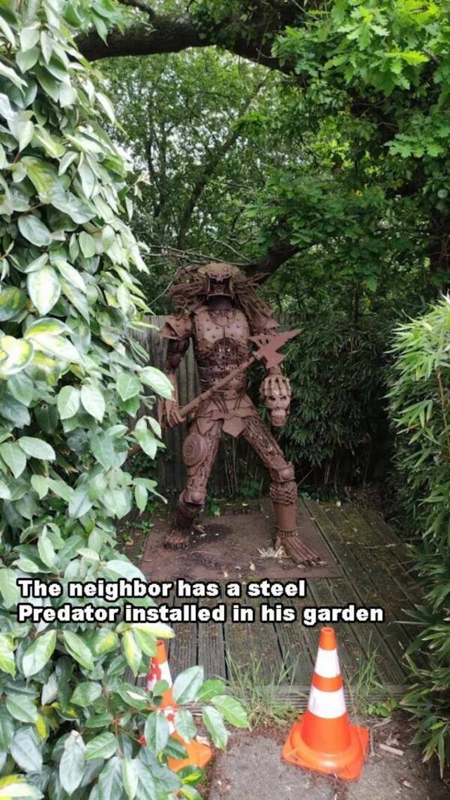 Bildschirmarbeiter - Picdump KW 30/2025