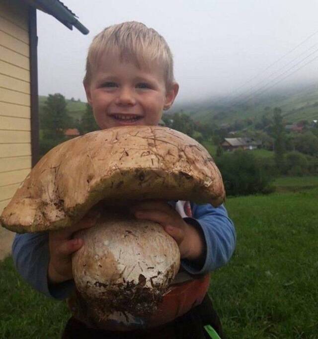 Bildschirmarbeiter - Picdump KW 30/2025