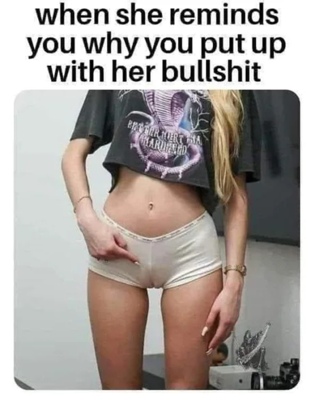 Bildschirmarbeiter - Picdump KW31 2021