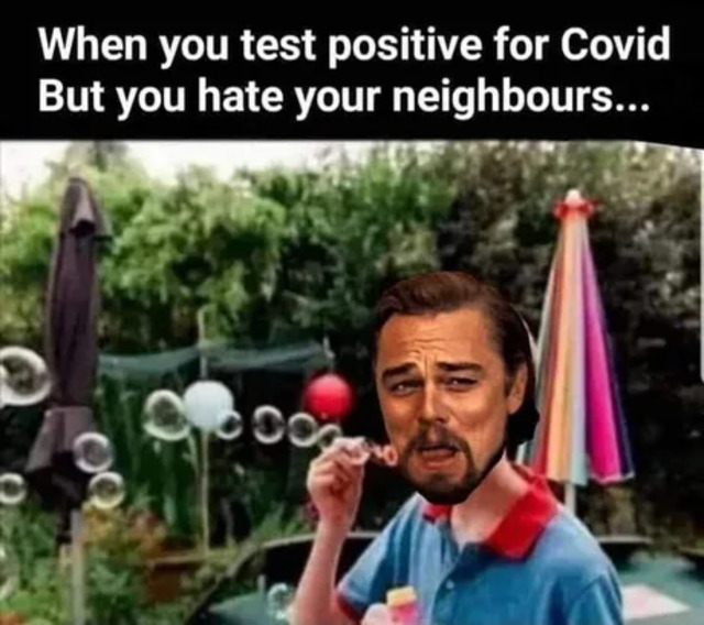 Bildschirmarbeiter - Picdump KW31 2021