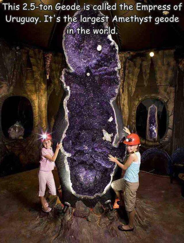 Bildschirmarbeiter - Picdump KW31 2021