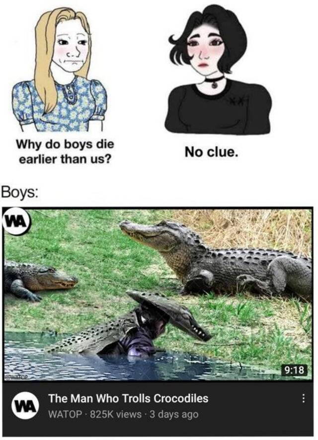 Bildschirmarbeiter - Picdump KW31 2021