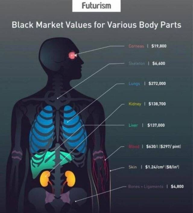 Bildschirmarbeiter - Picdump KW31 2021