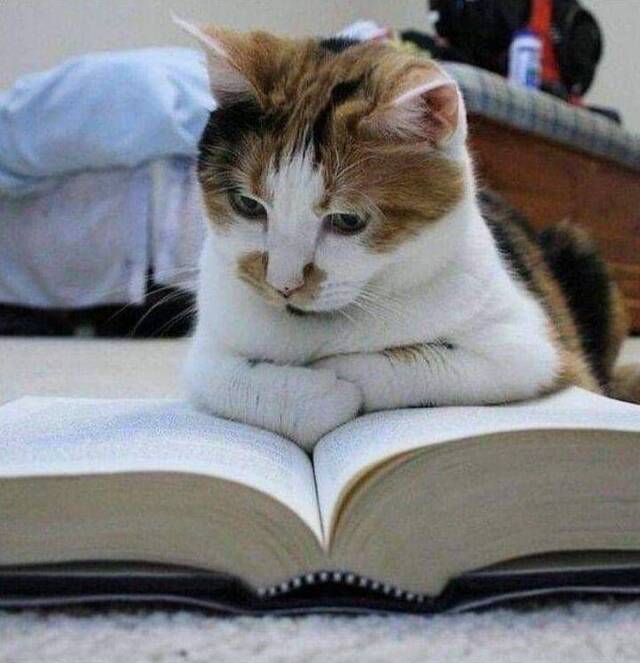 Bildschirmarbeiter - Picdump KW31 2021