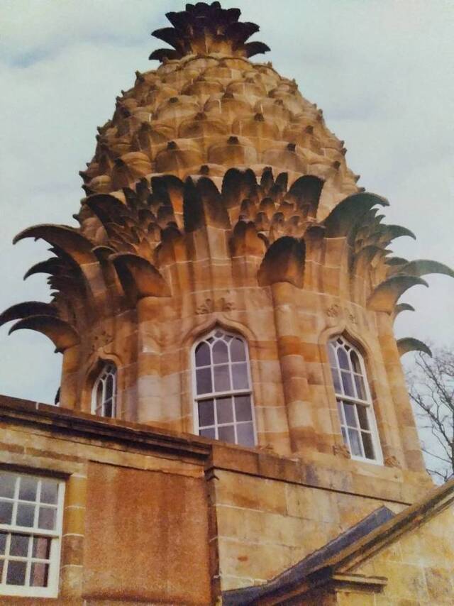 Bildschirmarbeiter - Picdump KW31 2021