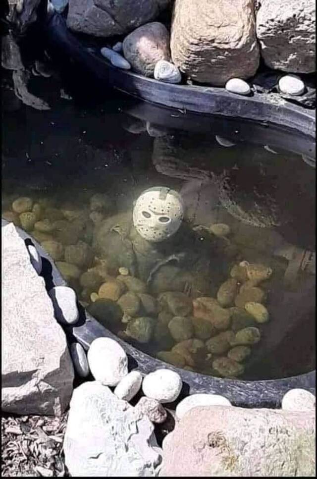 Bildschirmarbeiter - Picdump KW31 2021