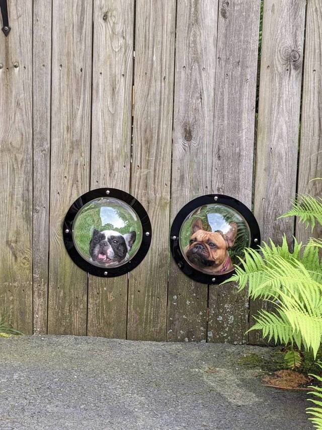 Bildschirmarbeiter - Picdump KW31 2021