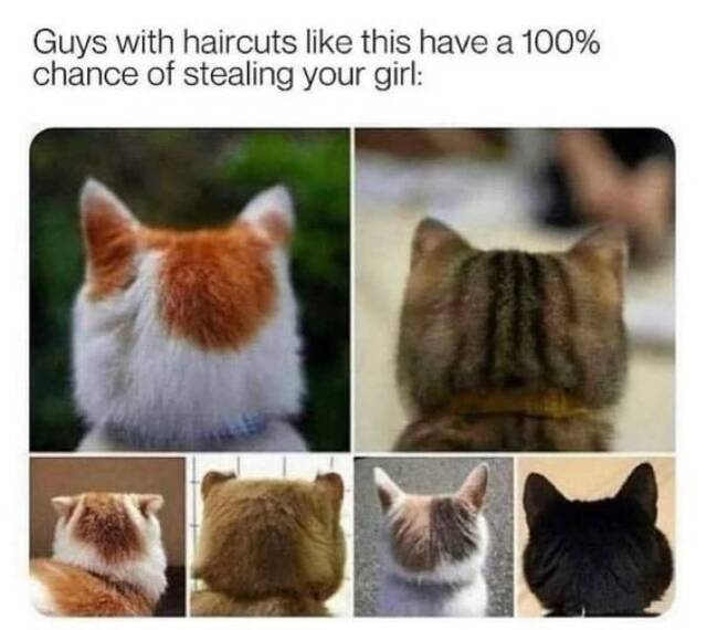 Bildschirmarbeiter - Picdump KW31 2021