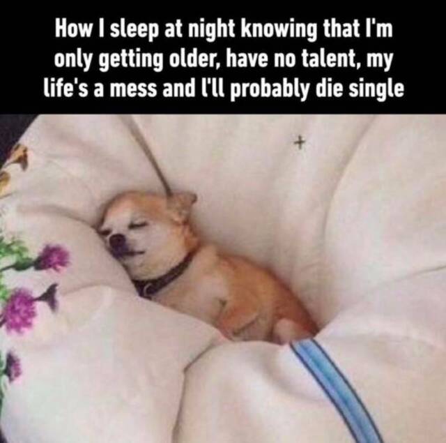 Nachschlag - Bildschirmarbeiter - Picdump KW 31/2022