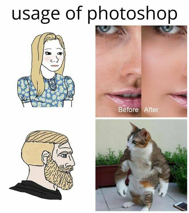 Nachschlag - Bildschirmarbeiter - Picdump KW 31/2022