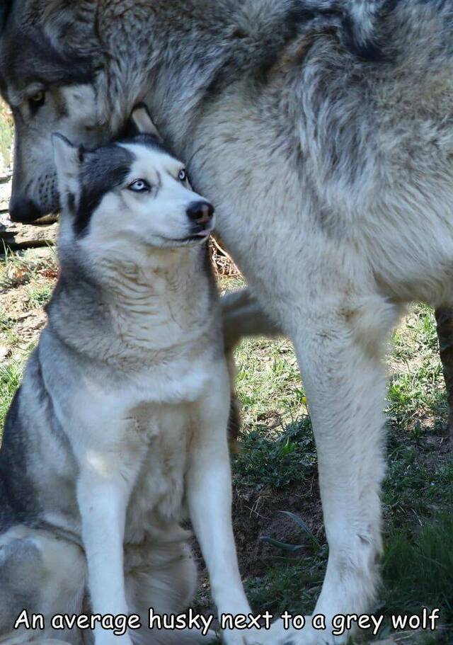 Nachschlag - Bildschirmarbeiter - Picdump KW 31/2022