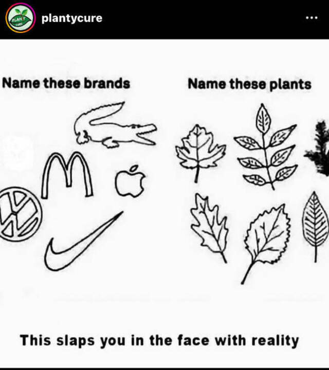 Nachschlag - Bildschirmarbeiter - Picdump KW 31/2022