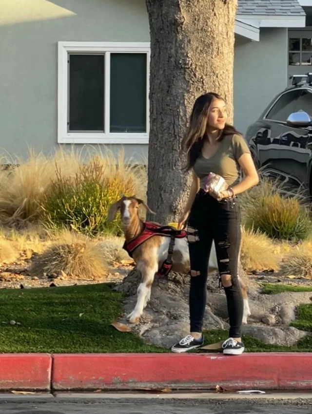 Nachschlag - Bildschirmarbeiter - Picdump KW 31/2022