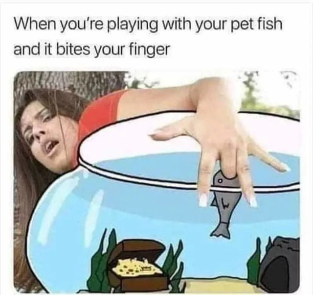 Nachschlag - Bildschirmarbeiter - Picdump KW 31/2022