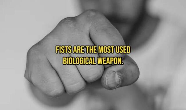 Nachschlag - Bildschirmarbeiter - Picdump KW 31/2022