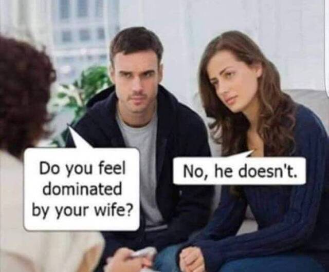 Bildschirmarbeiter - Picdump KW 31/2025