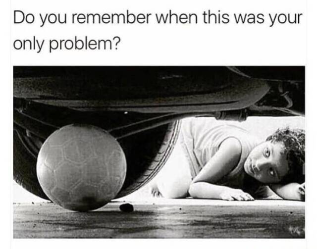 Bildschirmarbeiter - Picdump KW 31/2025