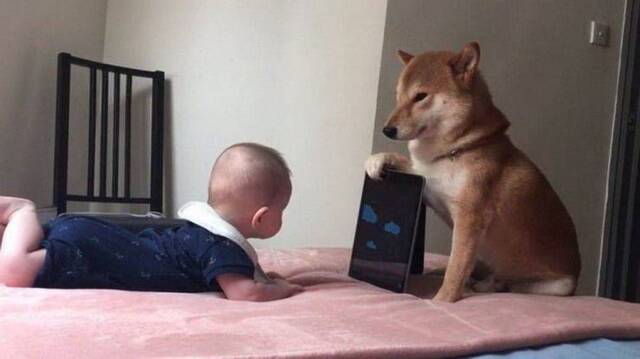 Bildschirmarbeiter - Picdump KW 31/2025