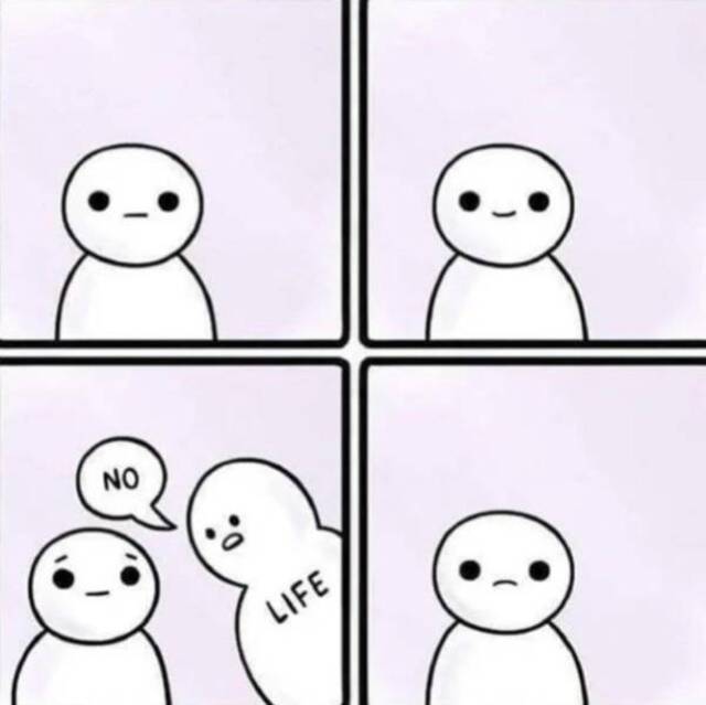 Bildschirmarbeiter - Picdump KW 31/2025