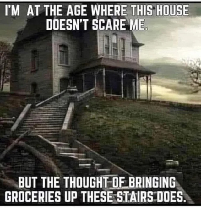 Bildschirmarbeiter - Picdump KW 31/2025