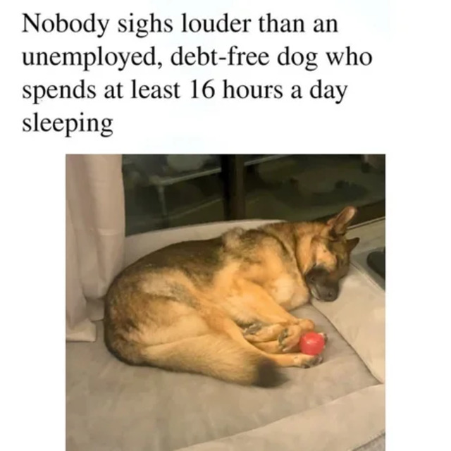 Bildschirmarbeiter - Picdump KW 31/2025