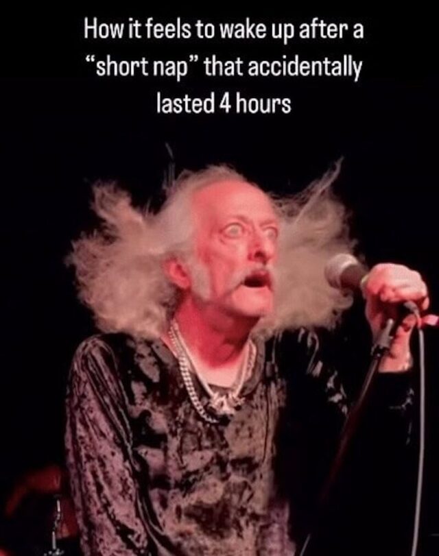 Bildschirmarbeiter - Picdump KW 31/2025